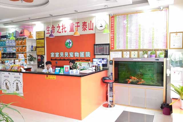 寶寶貝貝